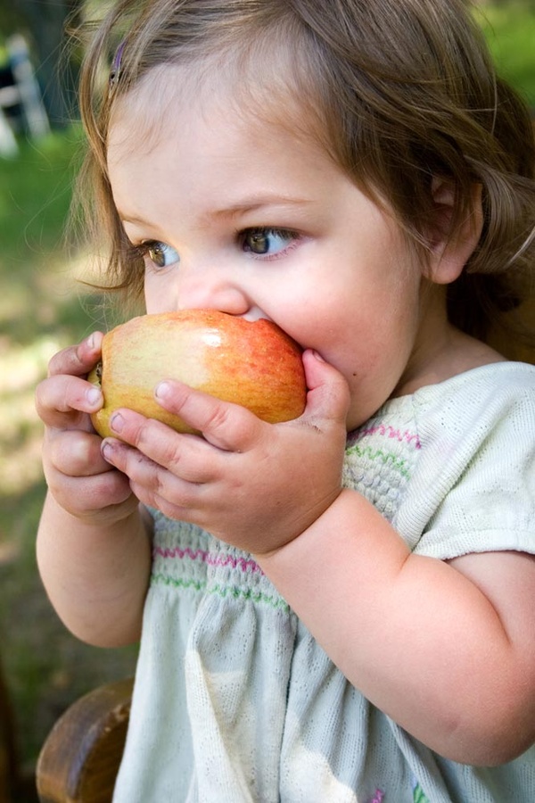 A obrigatoriedade da nutrição nas escolas