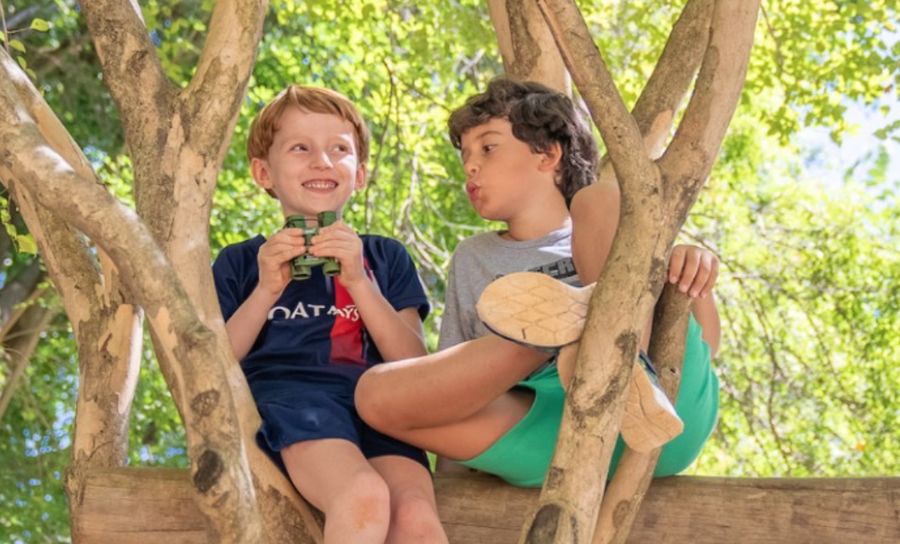 Dois meninos felizes explorando em uma árvore, um com binóculos e o outro brincando.