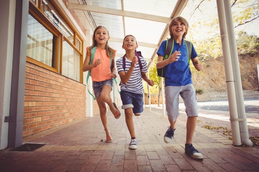 Quais são as motivações para a escolha da escola perfeita?