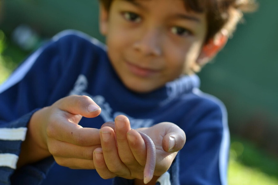 As dúvidas mais comuns dos pais sobre Acampamentos de Férias
