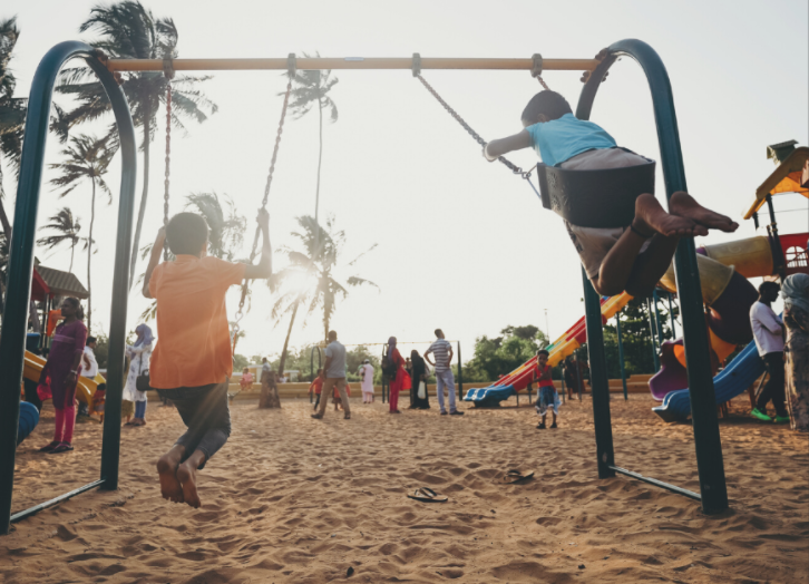 5 coisas para observar no Parque da Escola
