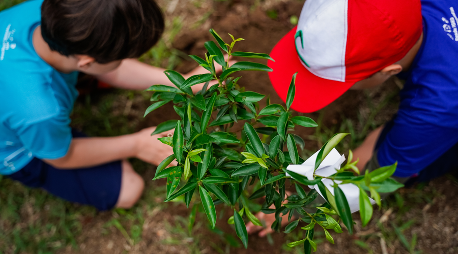 A importância da Sustentabilidade no ambiente escolar