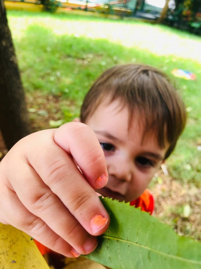 A criança, a natureza e a ética do cuidado