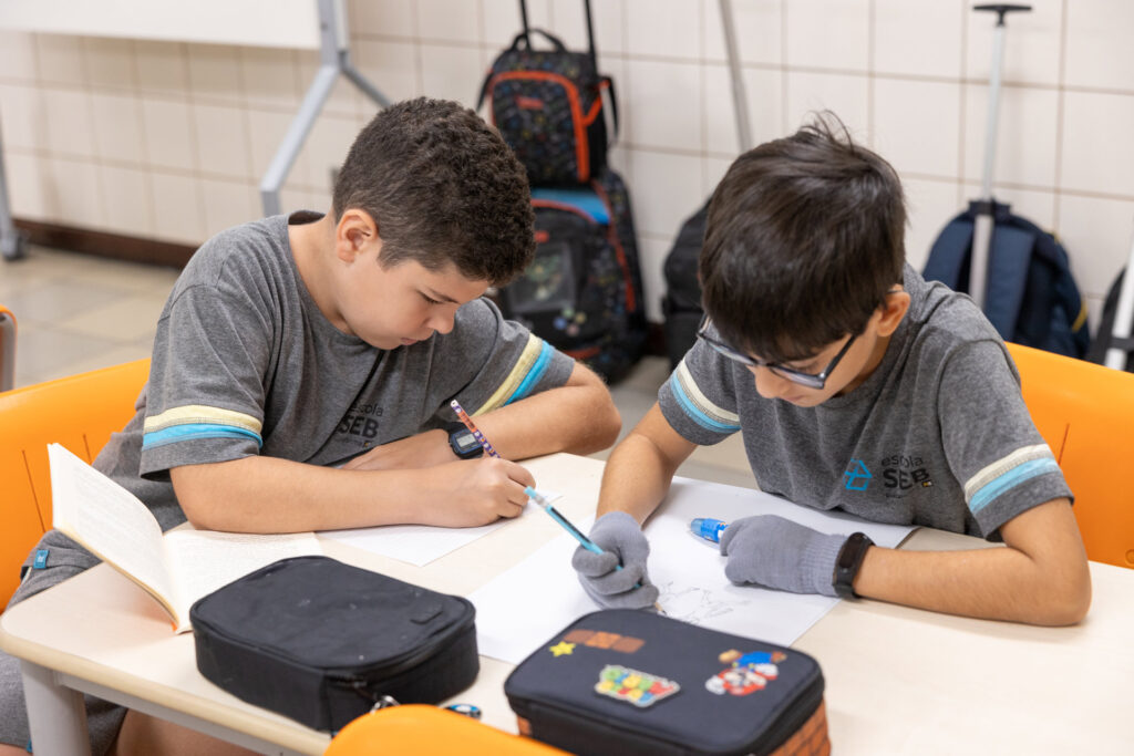 Entenda qual a diferença entre fluência e proficiência